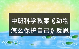 中班科學(xué)教案《動物怎么保護(hù)自己》反思