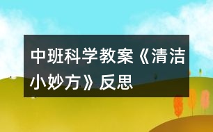 中班科學教案《清潔小妙方》反思