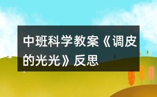 中班科學教案《調皮的光光》反思