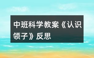 中班科學教案《認識領子》反思