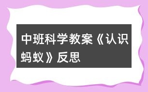 中班科學(xué)教案《認(rèn)識(shí)螞蟻》反思