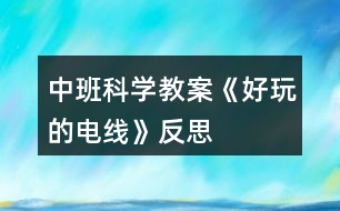 中班科學(xué)教案《好玩的電線》反思