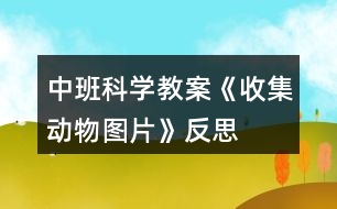 中班科學教案《收集動物圖片》反思