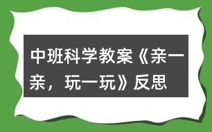 中班科學(xué)教案《親一親，玩一玩》反思