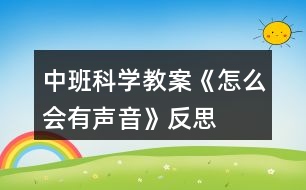 中班科學教案《怎么會有聲音》反思