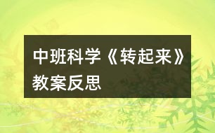 中班科學(xué)《轉(zhuǎn)起來(lái)》教案反思