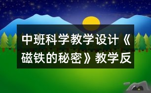 中班科學(xué)教學(xué)設(shè)計(jì)《磁鐵的秘密》教學(xué)反思