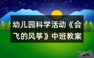 幼兒園科學(xué)活動《會飛的風(fēng)箏》中班教案反思