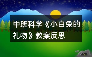 中班科學(xué)《小白兔的禮物》教案反思