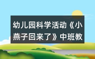 幼兒園科學(xué)活動《小燕子回來了》中班教案