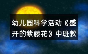 幼兒園科學活動《盛開的紫藤花》中班教案反思