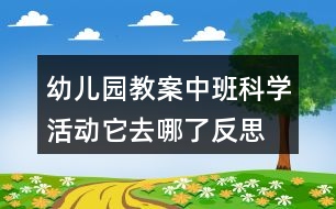 幼兒園教案中班科學活動它去哪了反思