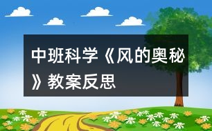 中班科學《風的奧秘》教案反思