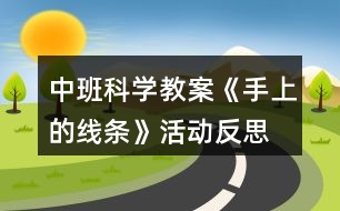 中班科學(xué)教案《手上的線條》活動(dòng)反思