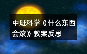 中班科學(xué)《什么東西會滾》教案反思