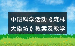 中班科學活動《森林大染坊》教案及教學反思