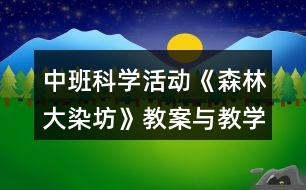 中班科學(xué)活動《森林大染坊》教案與教學(xué)反思