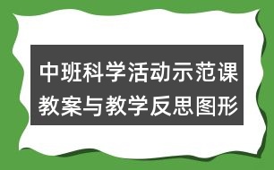 中班科學(xué)活動示范課教案與教學(xué)反思圖形的分類