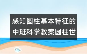 感知圓柱基本特征的中班科學(xué)教案：圓柱世界（科學(xué)）