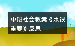 中班社會(huì)教案《水很重要》反思