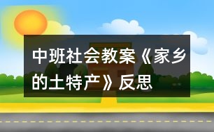 中班社會教案《家鄉(xiāng)的土特產(chǎn)》反思