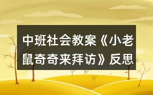 中班社會(huì)教案《小老鼠奇奇來拜訪》反思