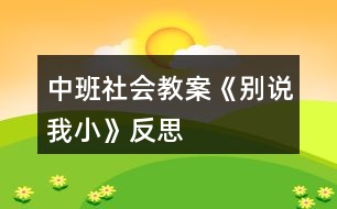 中班社會(huì)教案《別說(shuō)我小》反思