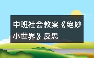 中班社會(huì)教案《絕妙小世界》反思