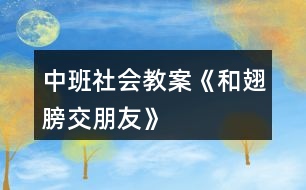 中班社會(huì)教案《和翅膀交朋友》