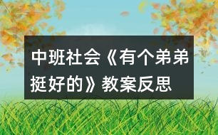 中班社會(huì)《有個(gè)弟弟挺好的》教案反思