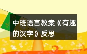 中班語言教案《有趣的漢字》反思