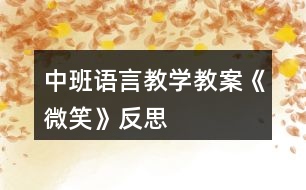 中班語言教學教案《微笑》反思