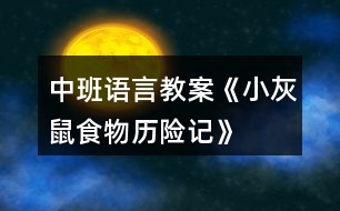 中班語言教案《小灰鼠食物歷險(xiǎn)記》