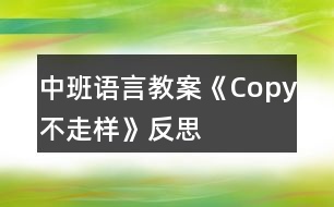 中班語言教案《Copy不走樣》反思