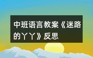 中班語言教案《迷路的丫丫》反思