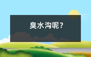 臭水溝呢？