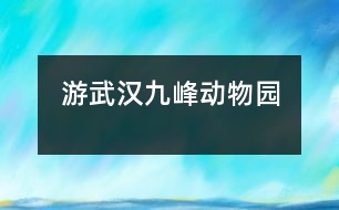 游武漢九峰動物園