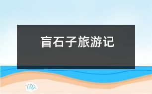 盲石子旅游記