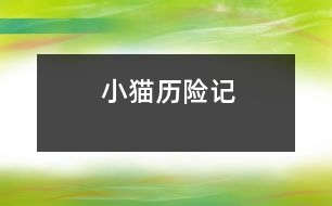 小貓歷險(xiǎn)記