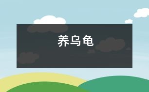 養(yǎng)烏龜