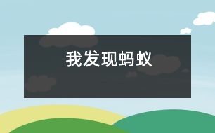 我發(fā)現(xiàn)螞蟻