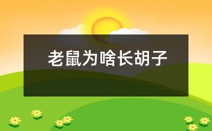 老鼠為啥長(zhǎng)胡子