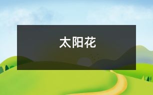 太陽(yáng)花