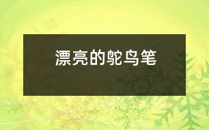 漂亮的鴕鳥(niǎo)筆