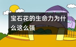 寶石花的生命力為什么這么強(qiáng)