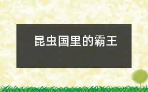 昆蟲(chóng)國(guó)里的霸王