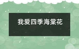 我愛四季海棠花