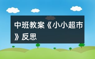 中班教案《小小超市》反思