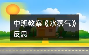 中班教案《水蒸氣》反思