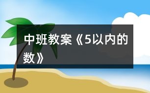 中班教案《5以內的數(shù)》